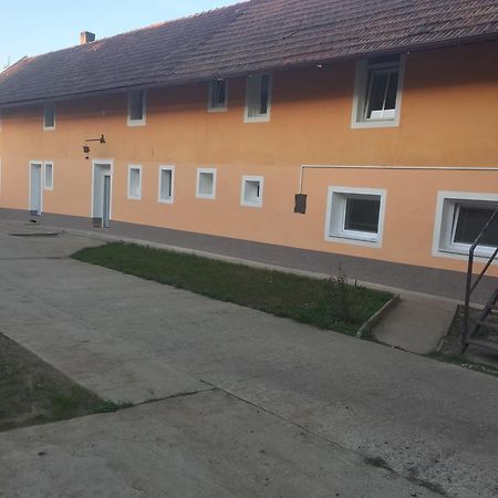 Ubytovani Fish-Com Apartment Štětí Exterior foto